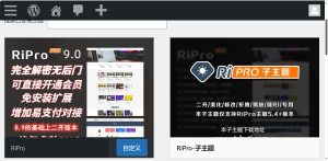 RiPro 9.0 免扩展二开版全解密无后门，包含RiPro主题插图