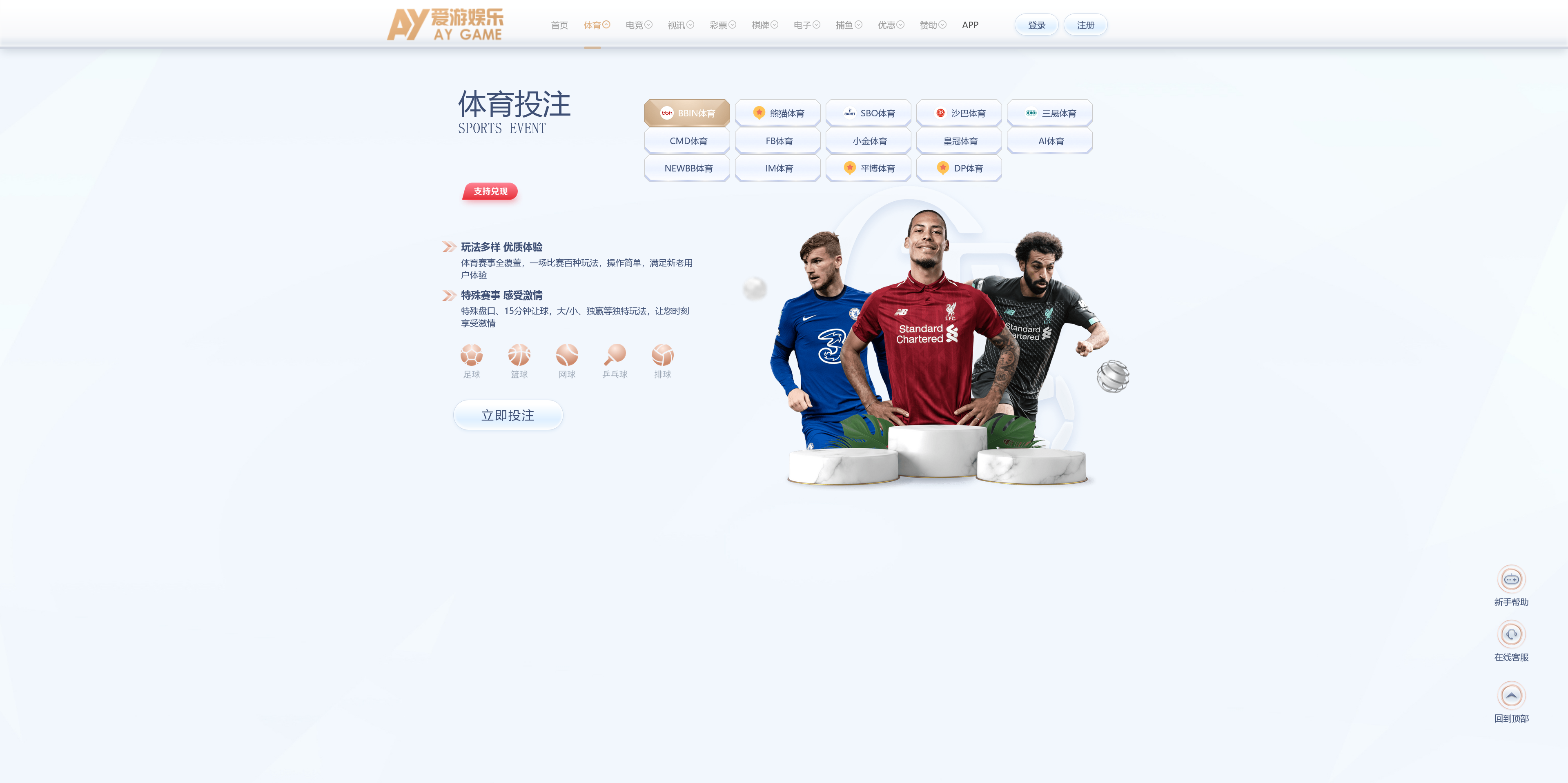 美盛系列包网模板爱游+搭建教程插图4