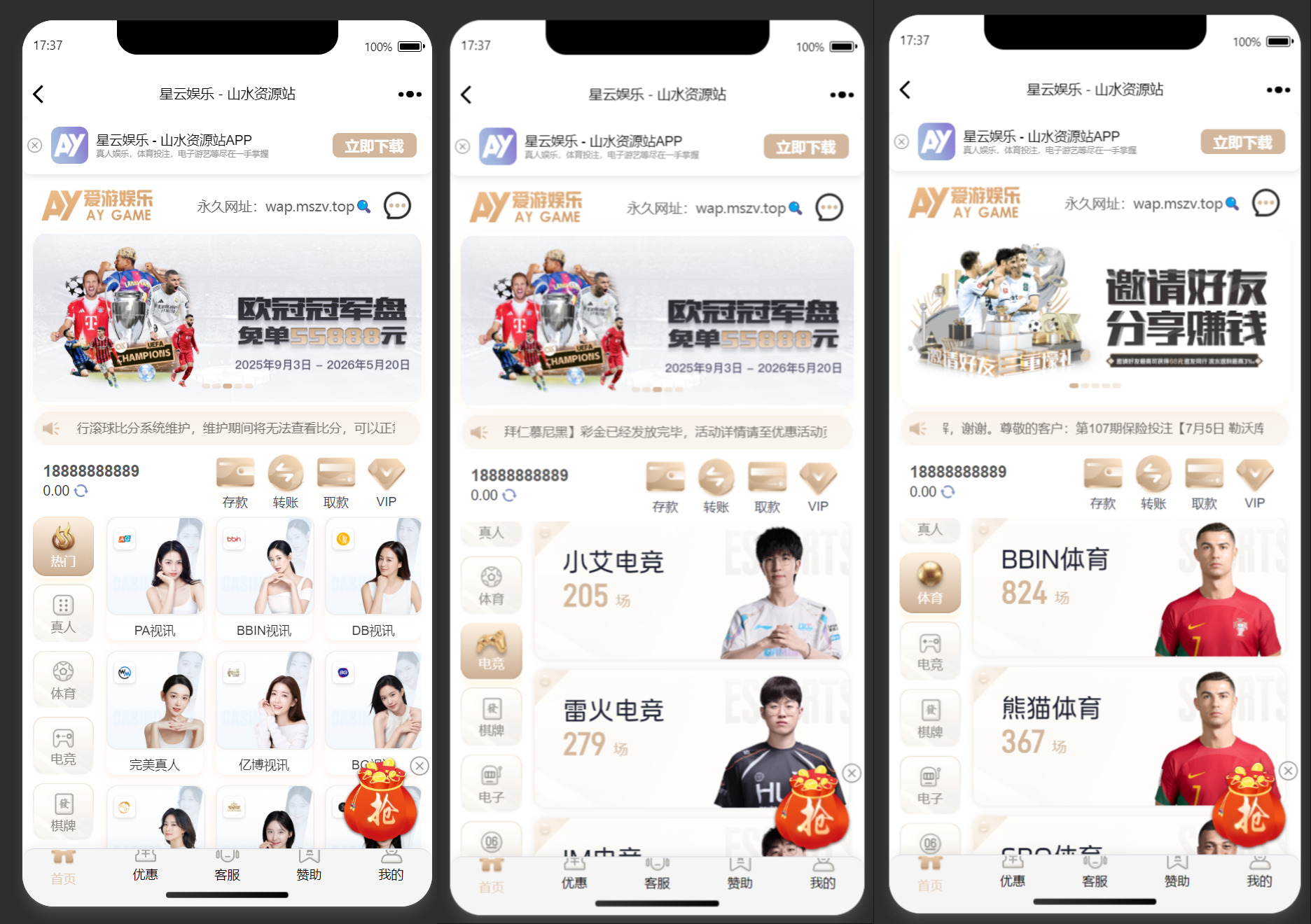 美盛系列包网模板爱游+搭建教程插图6