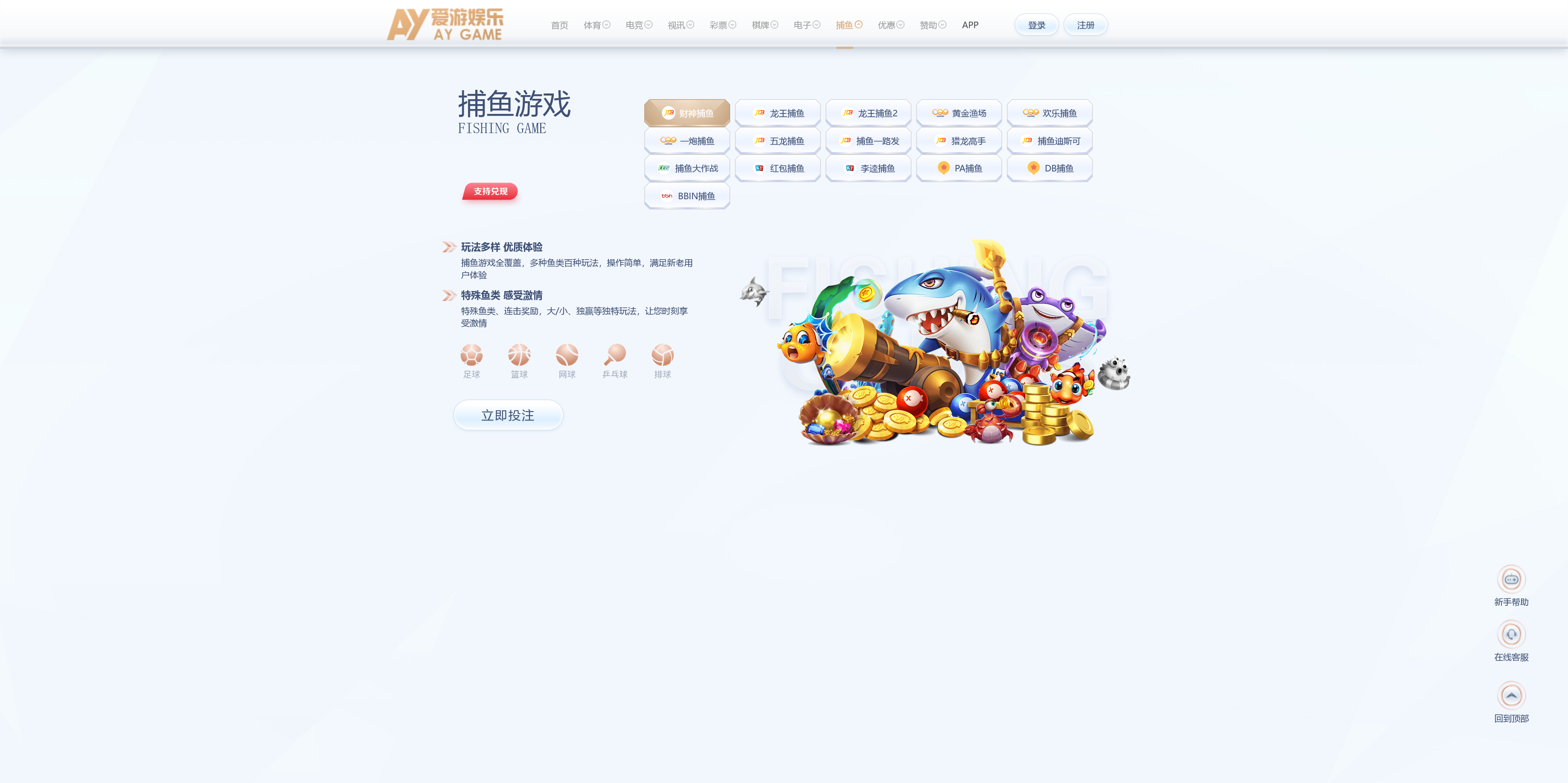 美盛系列包网模板爱游+搭建教程插图18