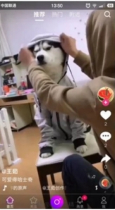 仿抖音直播源码_最新直播系统+短视频源码+教程+完整开发文档-零夏资源网