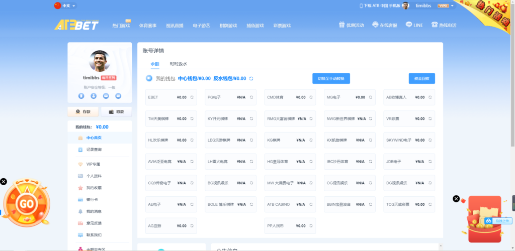 麟游综合盘国际版包网系统插图11