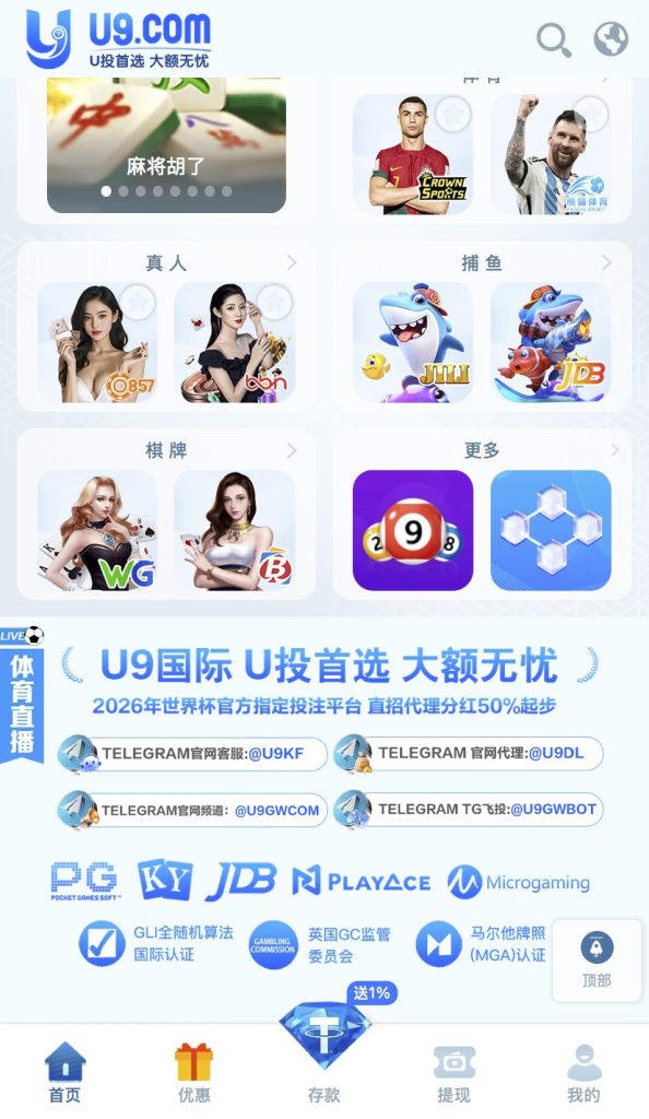 [精品亲测]新ui开发中/U9国际二开源码/包网系统/综合盘/世界杯源码/体育电子！需要定制的可以私站长飞机插图3